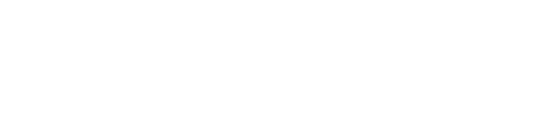 Shopware Logo